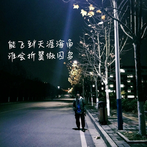 操浪笔美女视频免费
